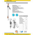 High Quality Chain Pulley Block (LH-WD)